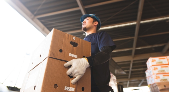 荷物を運んでいる様子